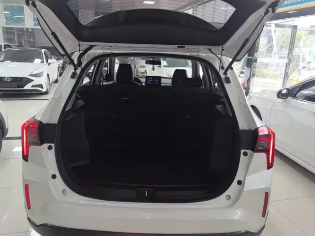 Venucia T60EV — Фото автомобиля 18