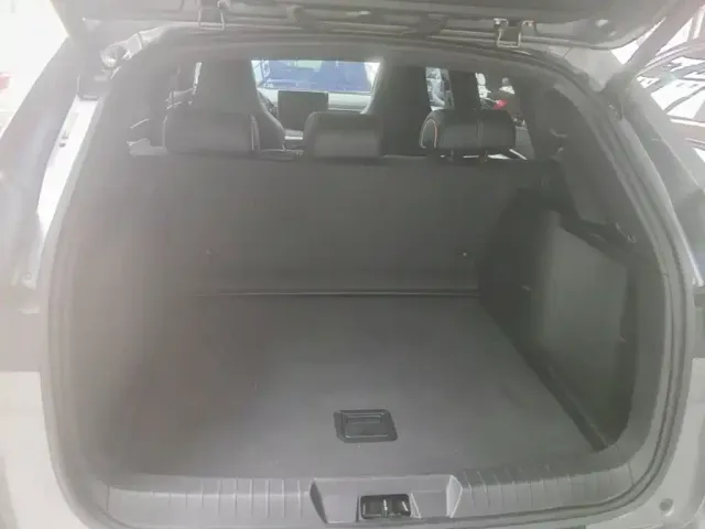 BYD Song PLUS PHEV 2021 DM-i 110KM Flagship PLUS — Фото автомобиля 18