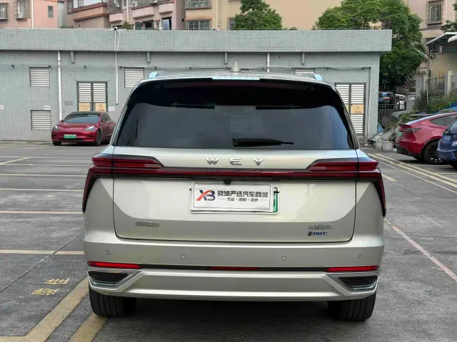 Wey Lanshan — Фото автомобиля 7