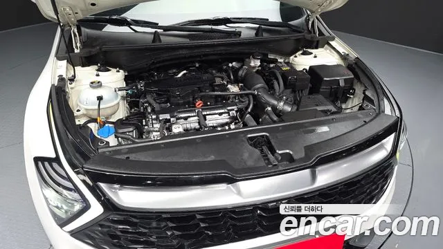 Kia Sportage Sportage 5-е поколение Бензин 1.6 Turbo 4WD — Фото автомобиля 3