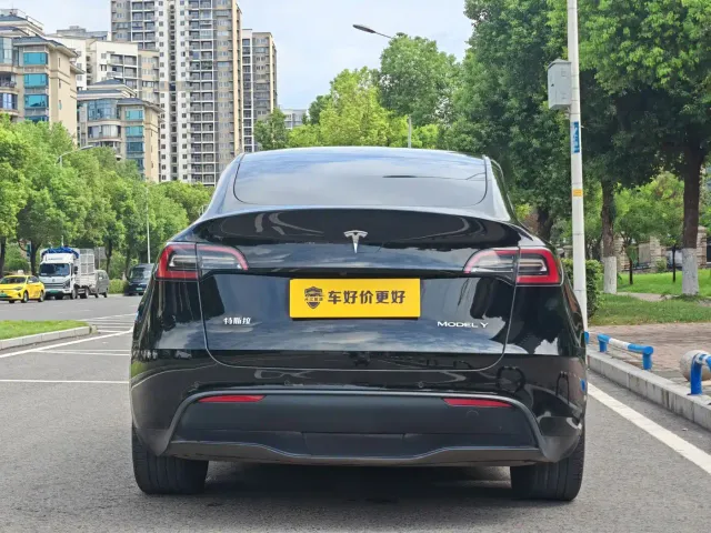 Tesla Model Y — Фото автомобиля 17