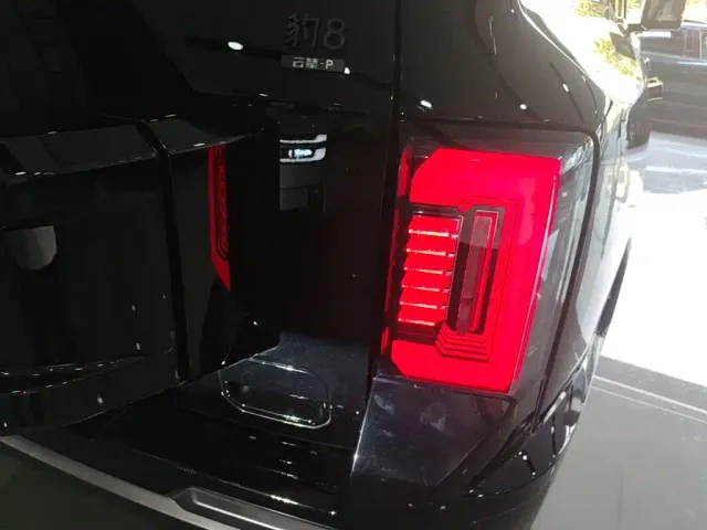 BYD FangChengBao Leopard 8 — Фото автомобиля 7