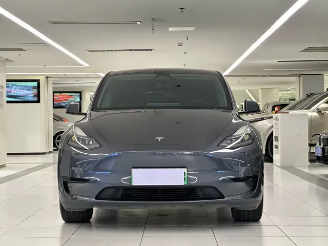 Tesla Model Y — Фото автомобиля 2