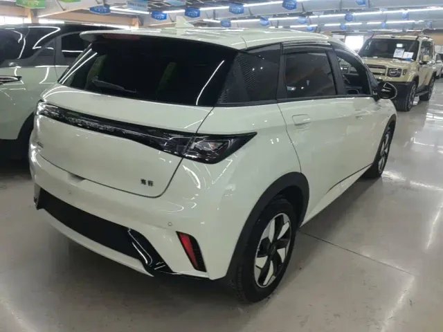 BYD Dolphin — Фото автомобиля 6