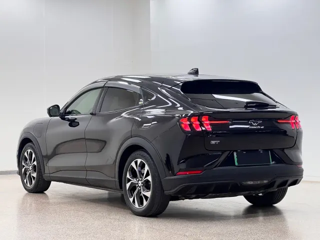Ford Mustang Mach-E — Фото автомобиля 3