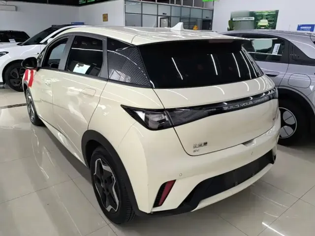 BYD Dolphin 2024 Glory Edition 420km Freedom Edition — Фото автомобиля 4