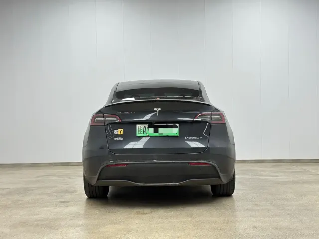 Tesla Model Y — Фото автомобиля 3