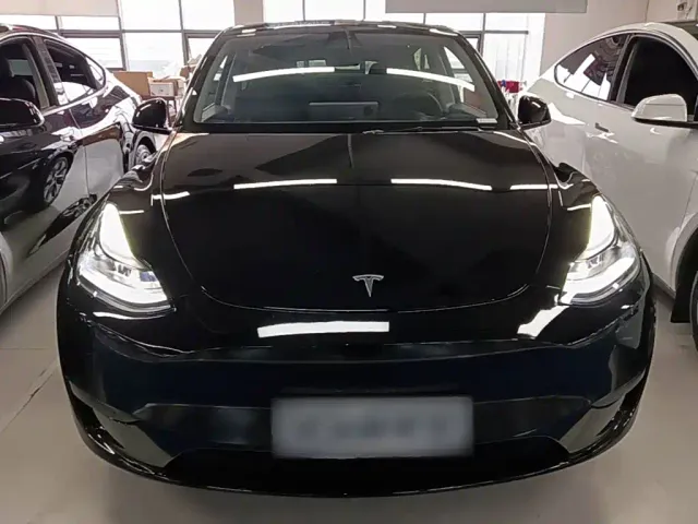 Tesla Model Y — Фото автомобиля 2