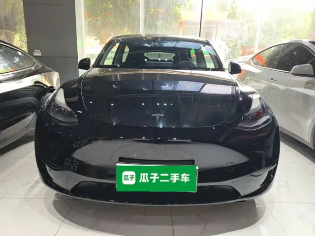 Tesla Model Y — Фото автомобиля 2