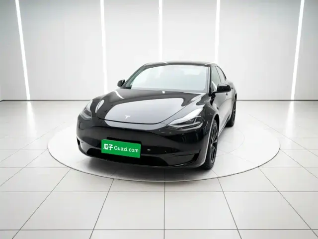 Tesla Model Y — Фото автомобиля 2