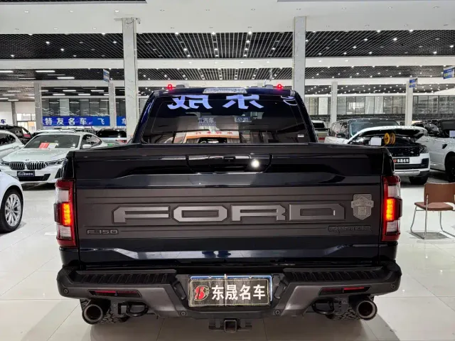 Ford F-150 Raptor — Фото автомобиля 8
