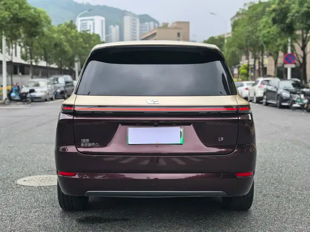 Li Auto L9 — Фото автомобиля 6