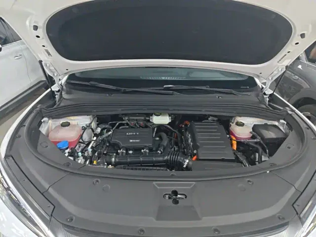 BYD Song L DM-i — Фото автомобиля 19