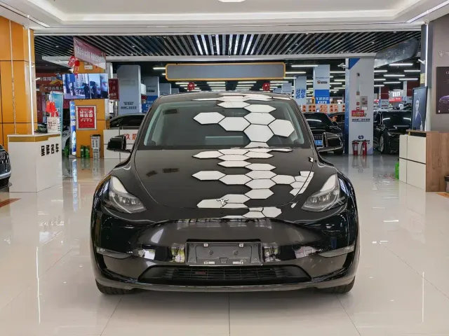 Tesla Model Y — Фото автомобиля 2