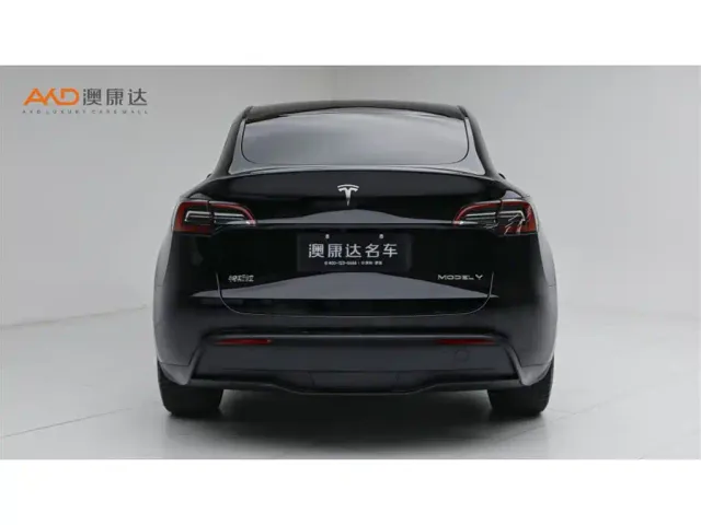 Tesla Model Y — Фото автомобиля 4