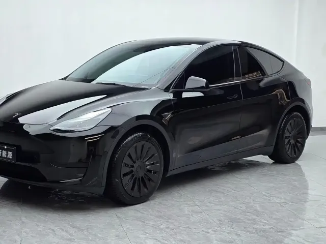 Tesla Model Y — Фото автомобиля 2