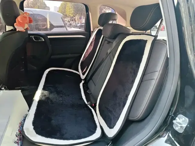 Haval Haval Big Dog 2022 1.5T DCT FWD Border Collie Edition — Фото автомобиля 14