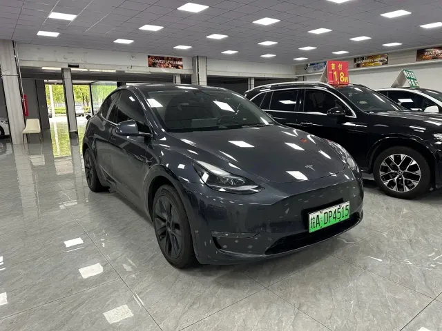 Tesla Model Y — Фото автомобиля 3
