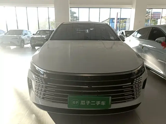 BYD Destroyer 05 — Фото автомобиля 2