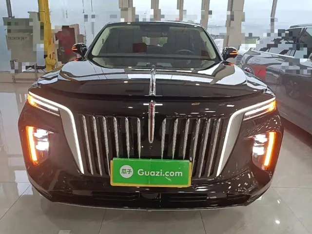 Hongqi E-HS9 — Фото автомобиля 2