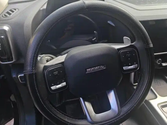 Haval Big Dog — Фото автомобиля 15