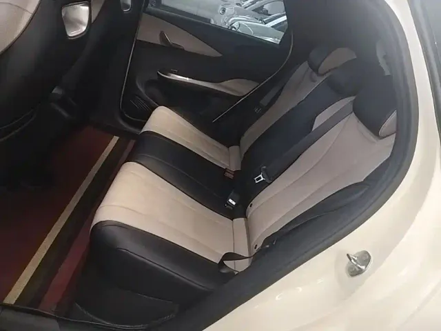 BYD Dolphin — Фото автомобиля 12