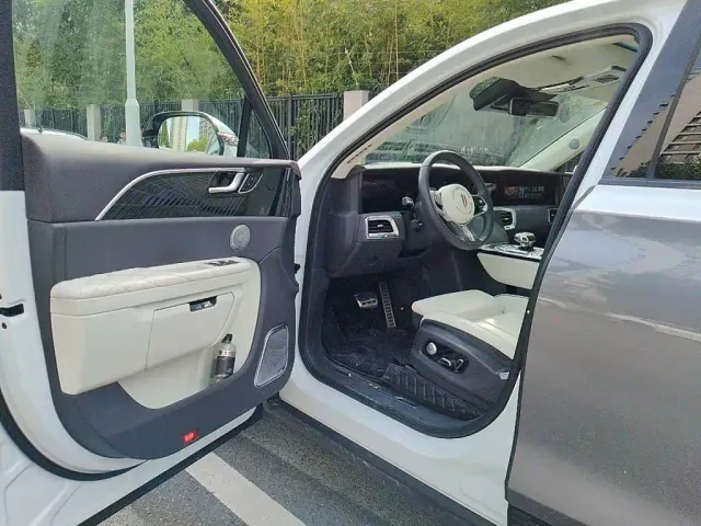 Hongqi Hongqi E-HS9 2022 660km Qi Ling Edition (4-seater) — Фото автомобиля 17