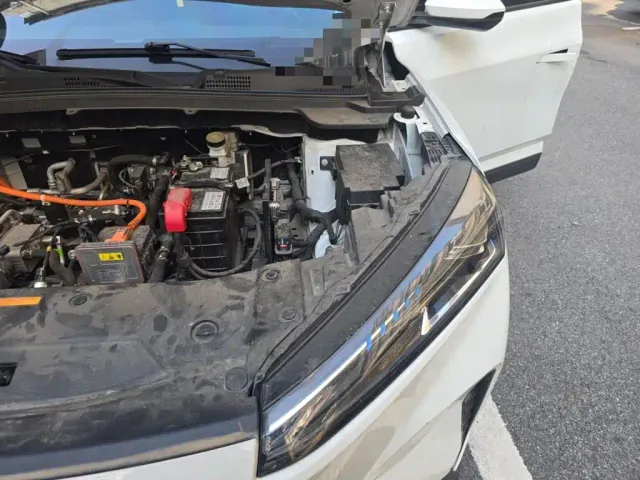 Dongfeng SKY EV01 — Фото автомобиля 21