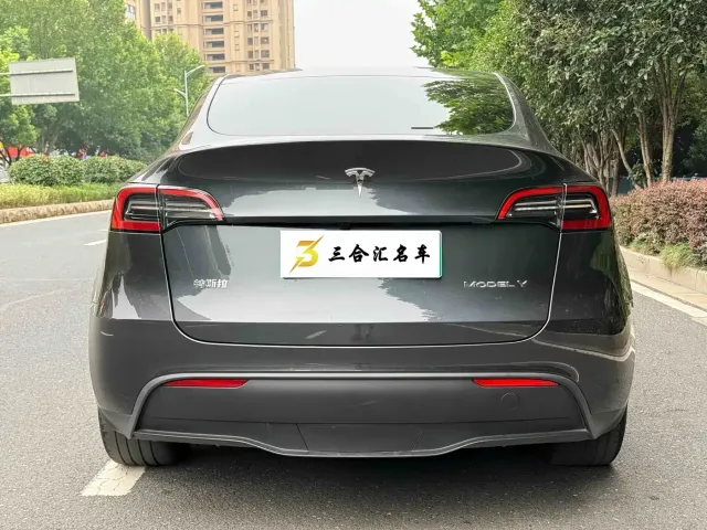 Tesla Model Y — Фото автомобиля 9