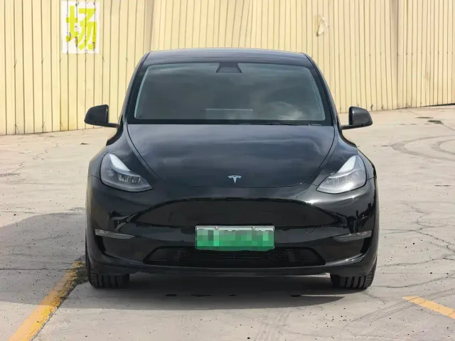 Tesla Model Y — Фото автомобиля 2