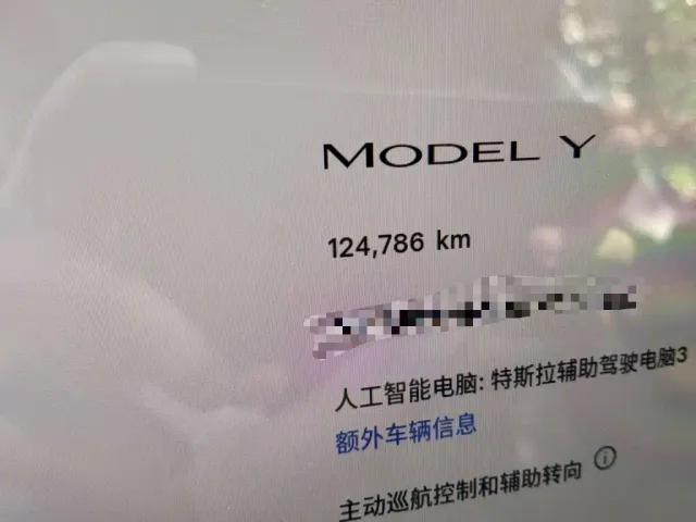 Tesla Model Y — Фото автомобиля 13