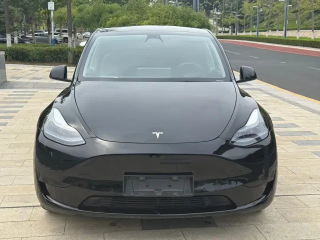 Tesla Model Y — Фото автомобиля 2