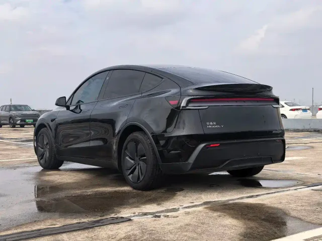 Tesla Model Y — Фото автомобиля 7
