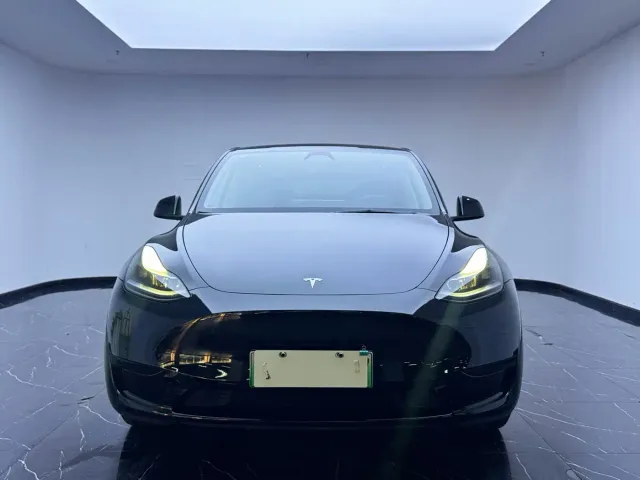 Tesla Model Y — Фото автомобиля 2