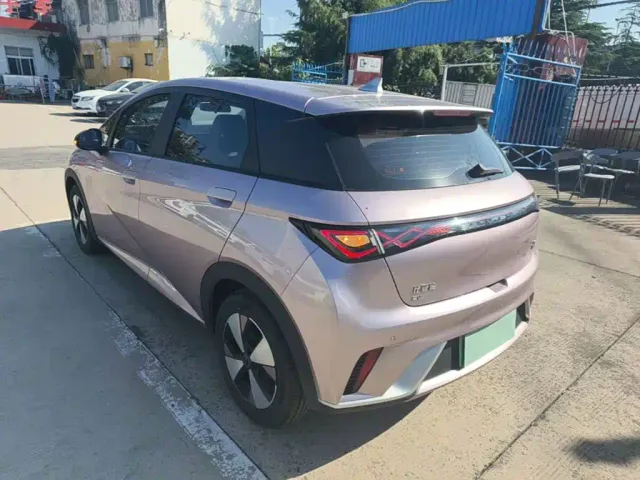 BYD Dolphin — Фото автомобиля 4