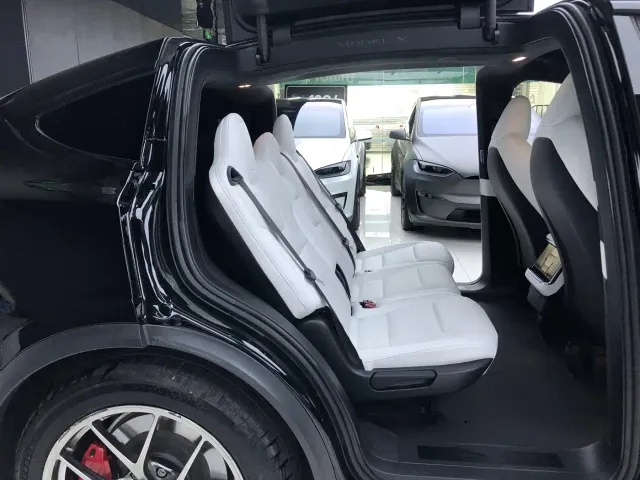 Tesla Model X — Фото автомобиля 14