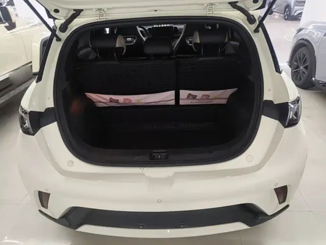 BYD Dolphin — Фото автомобиля 18