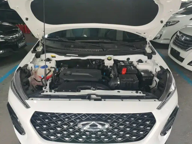Chery Tiggo 3x — Фото автомобиля 19
