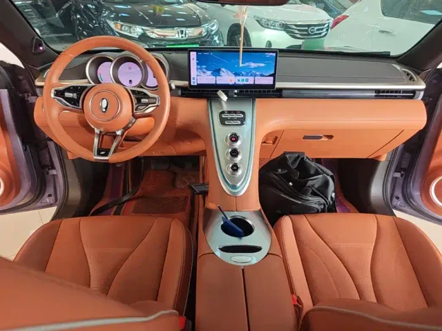 Ora Lightning Cat — Фото автомобиля 9