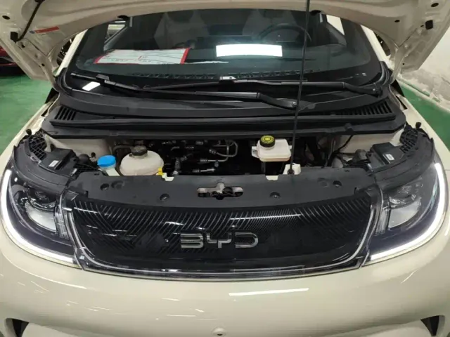 BYD Dolphin — Фото автомобиля 19