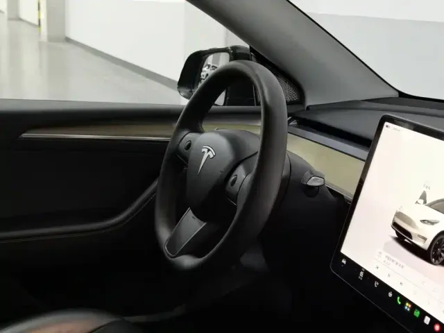Tesla Model Y — Фото автомобиля 22