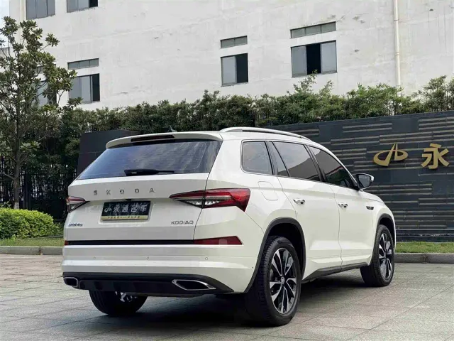 Skoda Kodiaq — Фото автомобиля 17