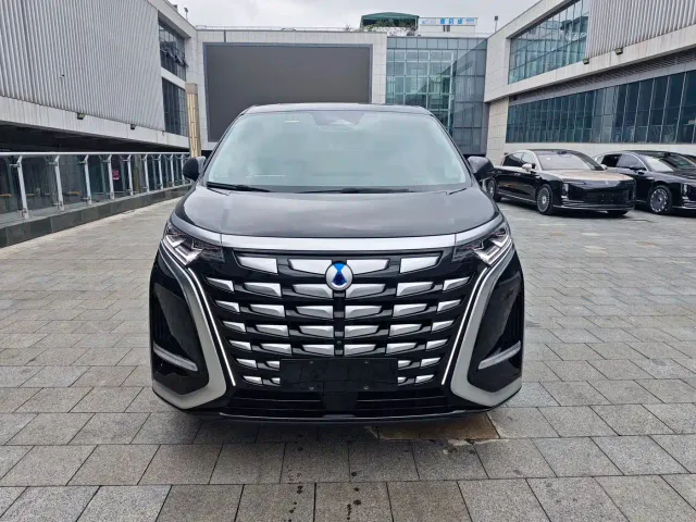Denza D9 — Фото автомобиля 3
