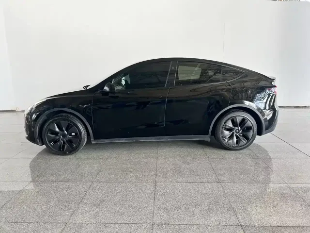 Tesla Model Y — Фото автомобиля 3