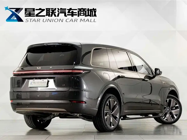 Li Auto L9 — Фото автомобиля 6