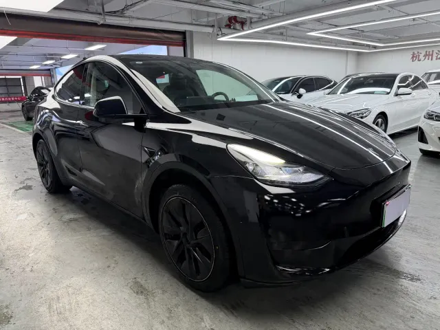 Tesla Model Y — Фото автомобиля 3