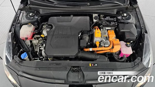 Hyundai Avante CN7 — Фото автомобиля 6