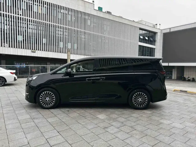 Denza Denza D9 2024 DM-i 980 AWD Flagship — Фото автомобиля 13