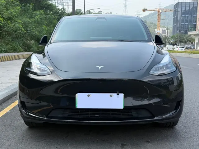 Tesla Model Y — Фото автомобиля 2
