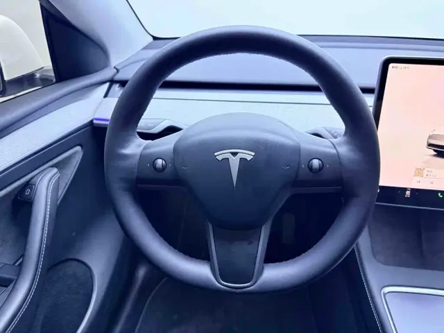Tesla Model Y — Фото автомобиля 10